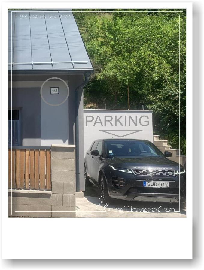 Wellnesska Vyhne Villa Exterior photo